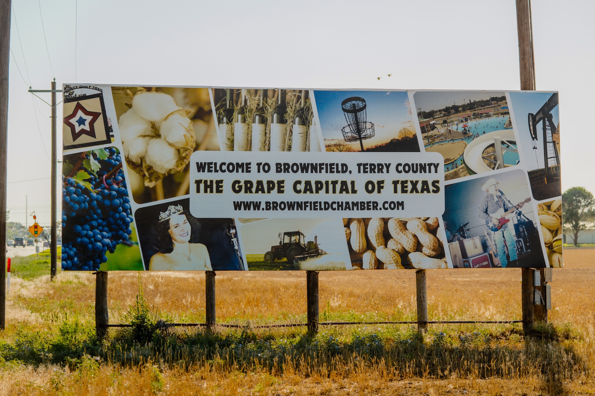 A billboard in a field of browning grass saying Welcome to Brownfield, Terry County, The Grape Capital of Texas