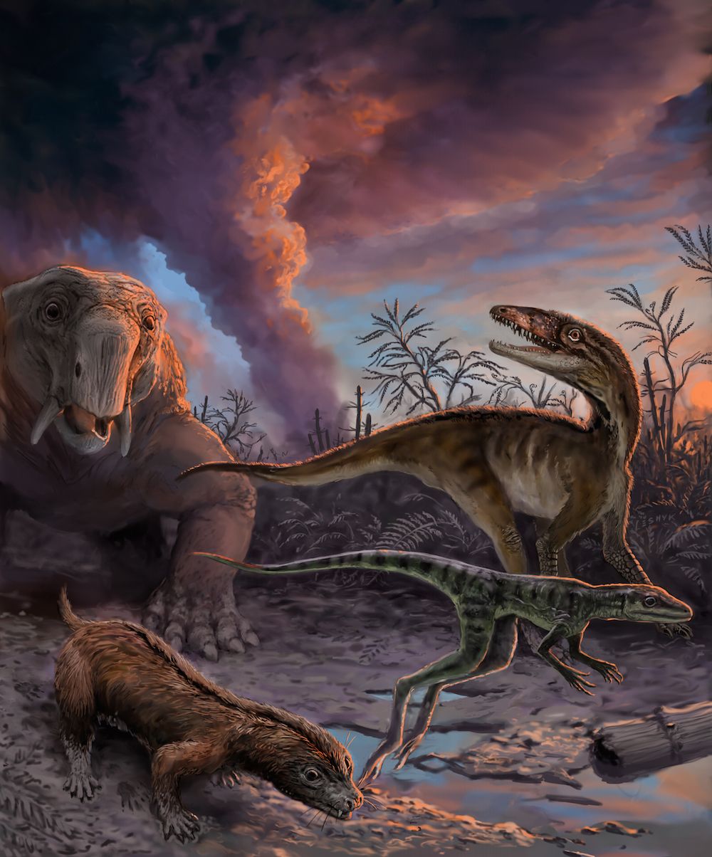 dinosauromorphs, dinosaur relatives