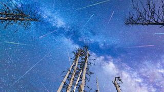 Perseid meteor shower.