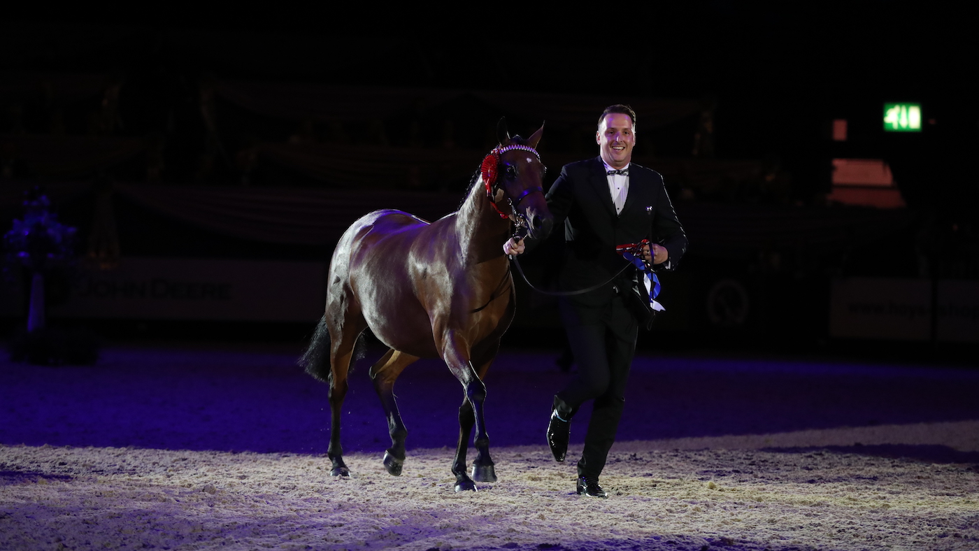 Supreme-in-hand-Championships-at-HOYS-credit-1st-Class-Images.jpg