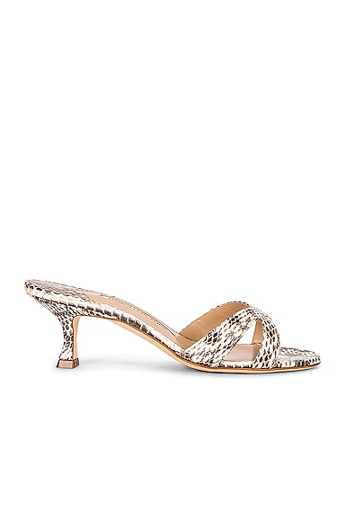 Callamu 50 Mule Sandal