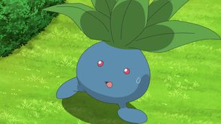 Oddish as seen in the Pokemon anime.