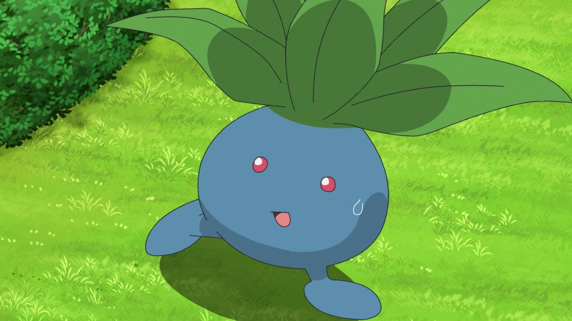 La transmisión oficial de Pokémon pide a los jugadores que "descubran Oddish", misteriosamente aparece una pantalla en blanco durante 16 horas y se niega a dar más detalles.