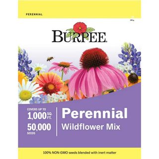 Walmart perennial wildflower mix