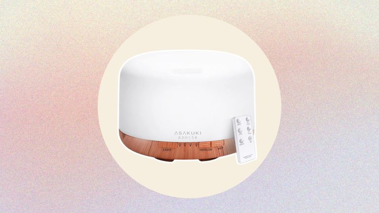 Diffuser vs humidifier — what’s the difference? | Real Homes