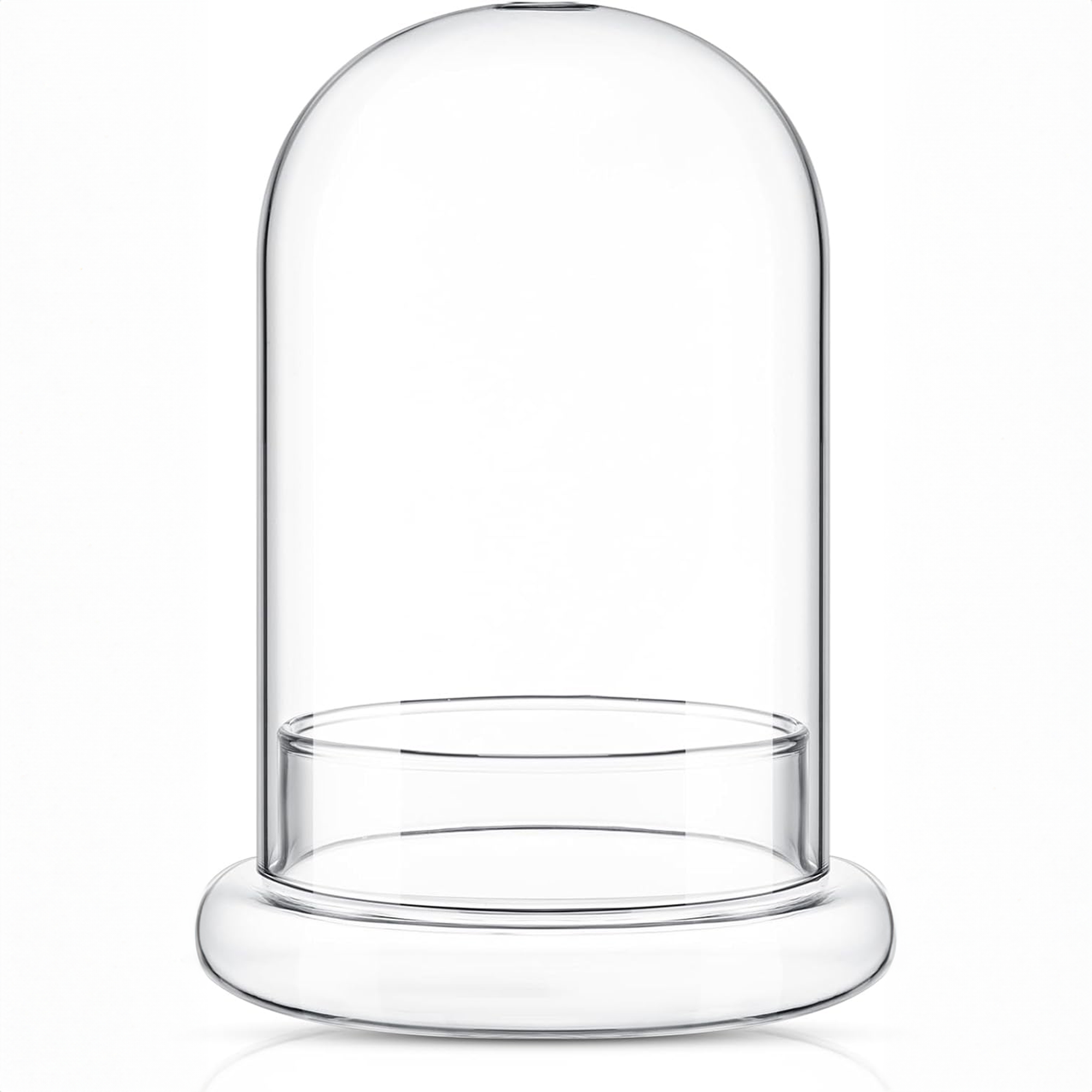 Perthlin 1 Pcs Glass Terrarium