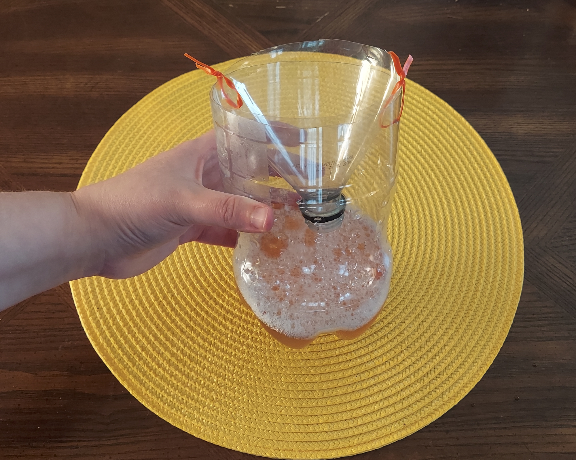 DIY yellowjacket trap