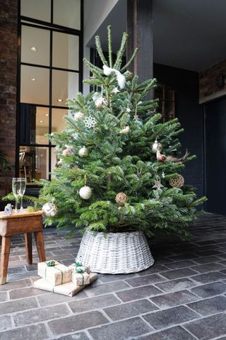 A Christmas tree with a wicker skirt