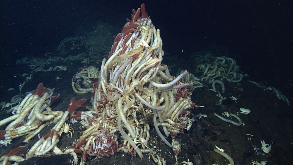 deep sea vent photos, black smoker images, hydrothermal vent images