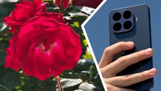 I took over 500 photos on the &lsquo;telephoto master&rsquo; Xiaomi 17T Pro &mdash; here are my favorite zoom shots