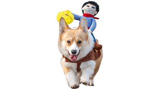 Dog in dog costume