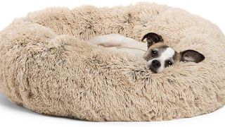 Best Friends by Sheri Original Calming Donut Dog Bed