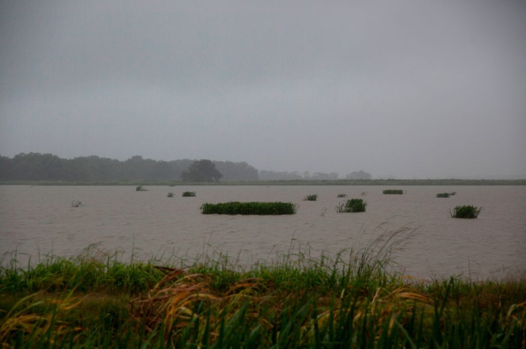 Tropical Storm Barry.