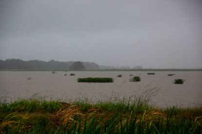 Tropical Storm Barry.