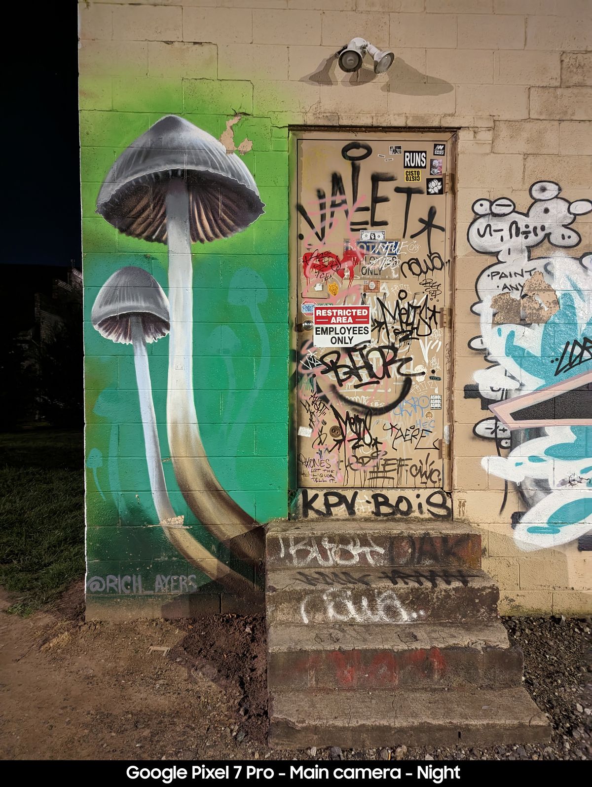 Google Pixel 7 Pro camera samples to compare to the Pixel 7a