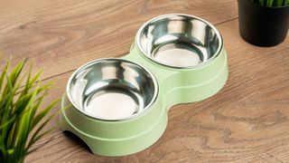 A pair of clean cat bowls