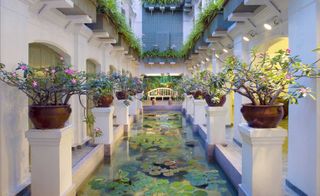 Centre of the hotel featuring a pond with water lilies and pillars with floral arrangements