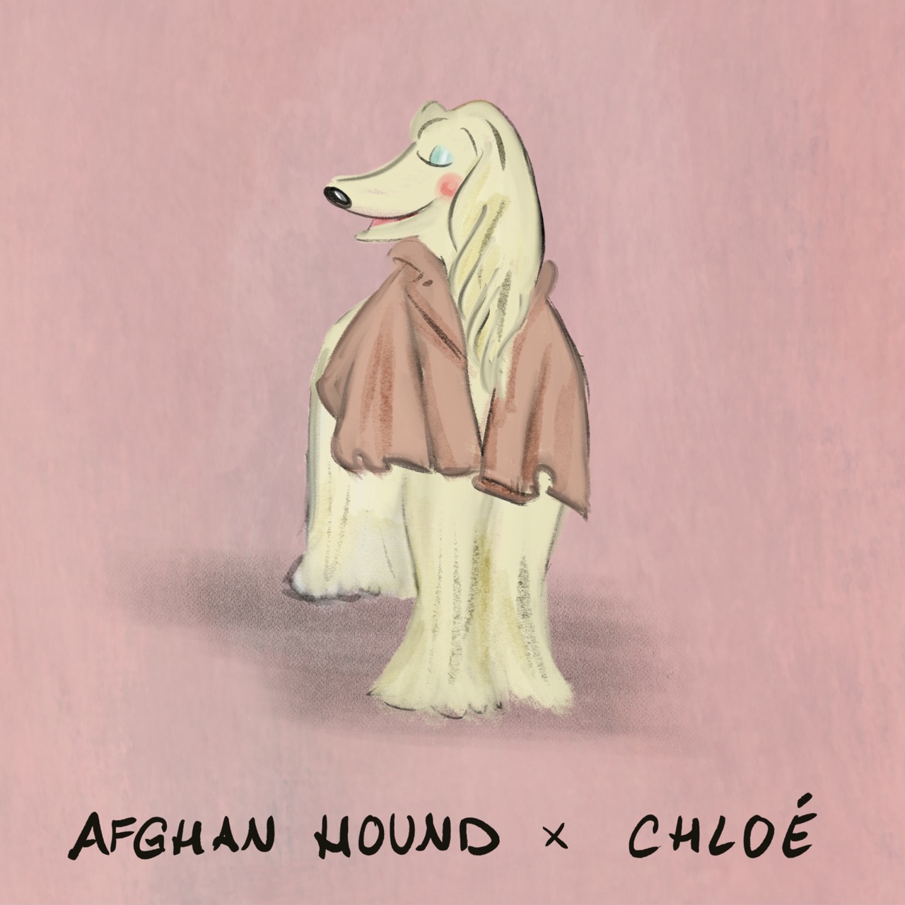 A series of twelve illustrated animals styled as luxury fashion designers: an Afghan hound in a slouchy blush Chlo&amp;eacute; coat; an Airedale Terrier in a navy Ralph Lauren sweater on a tartan blanket; a beagle carrying a classic Louis Vuitton handbag while wearing a monogrammed scarf; an English bulldog in a chunky cream Connolly jumper with green gloves beside it; a Birman cat in a pink Chanel jacket layered with pearls; a corgi standing proudly on an orange Herm&amp;egrave;s box with a silk scarf and pink Birkin-style bag; a long-haired dachshund in a soft cream Brunello Cucinelli cardigan; a Dalmatian posing in a dramatic Dior hat with a veil and a black umbrella; a fox red Labrador wearing a Burberry check headscarf; a poodle strutting in oversized Celine sunglasses and a gold medallion necklace; a Springer spaniel wrapped in an oversized green Barbour jacket beside wellington boots; and a Weimaraner in a sleek black Giorgio Armani turtleneck and dark sunglasses.