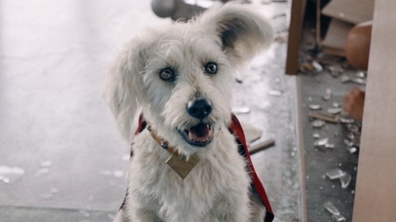 Krypto heeling for Superman after swinging Lex Luthor around in Superman