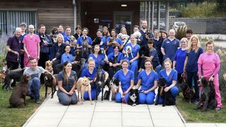 The staff and some of the patients at Wear Referrals veterinary hospital pose in a group in 24/7 Pet Hospital