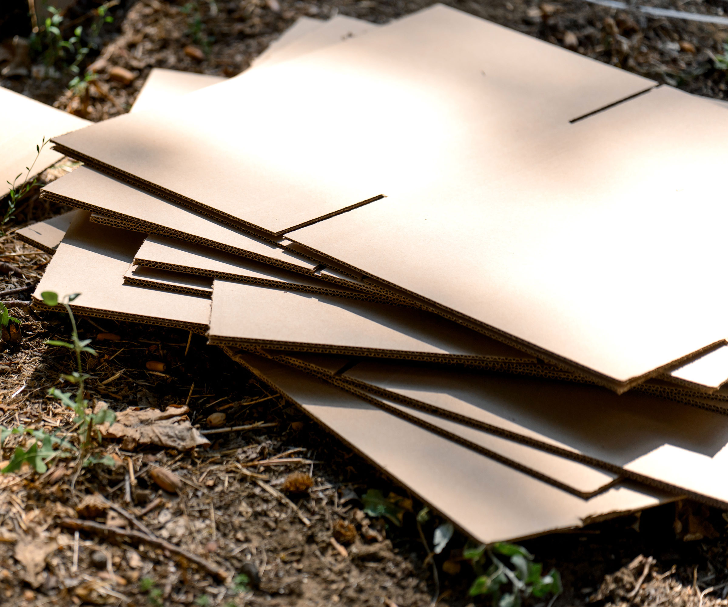card sheets lying flat on garden soil