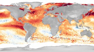 The El Niño pattern stands out in the warm sea surface temperature anomalies in the Pacific in 2023.