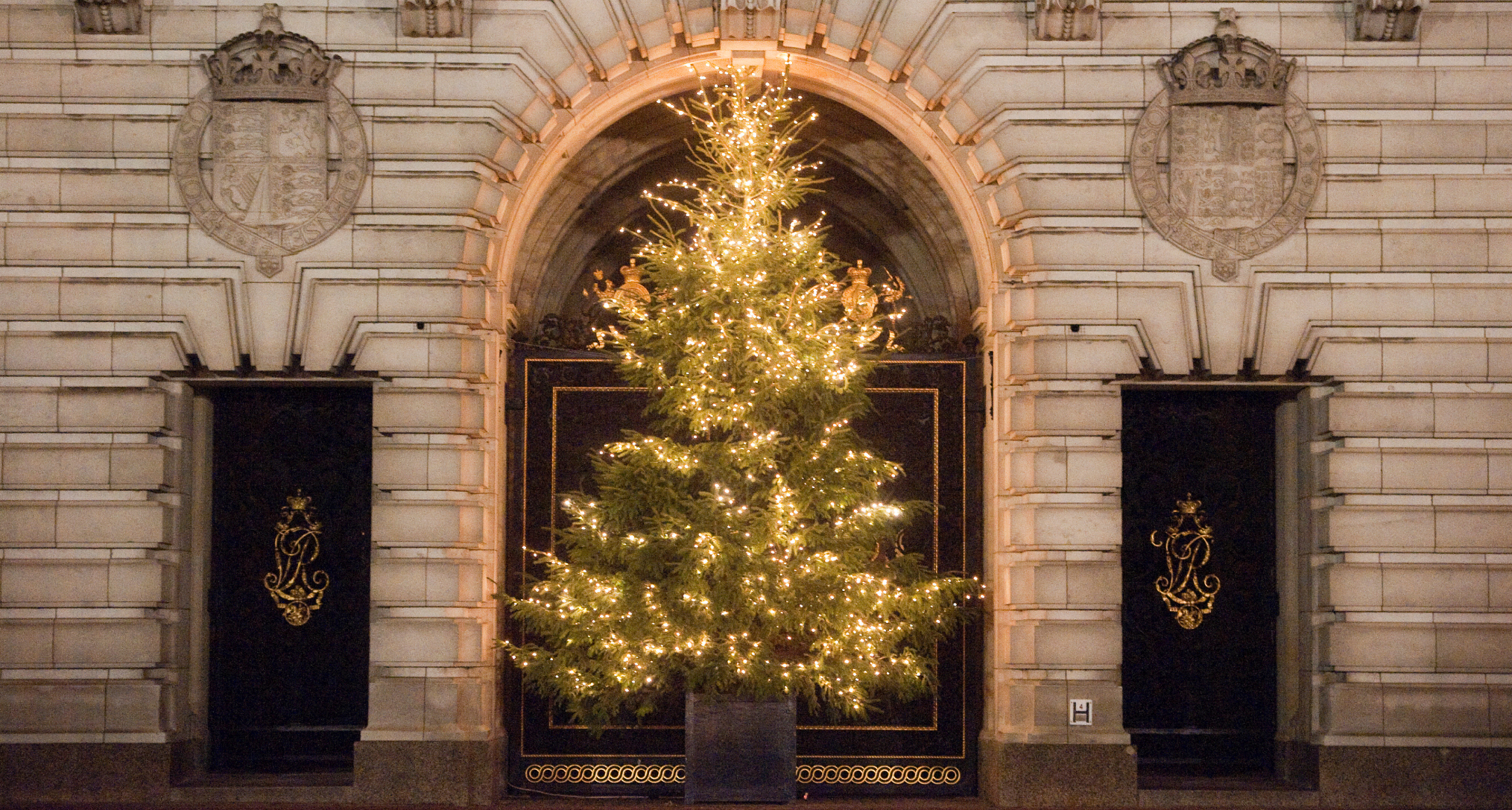 A lit Christmas tree outside Buckingham Palace