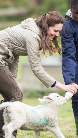 kate middleton feeding lambs