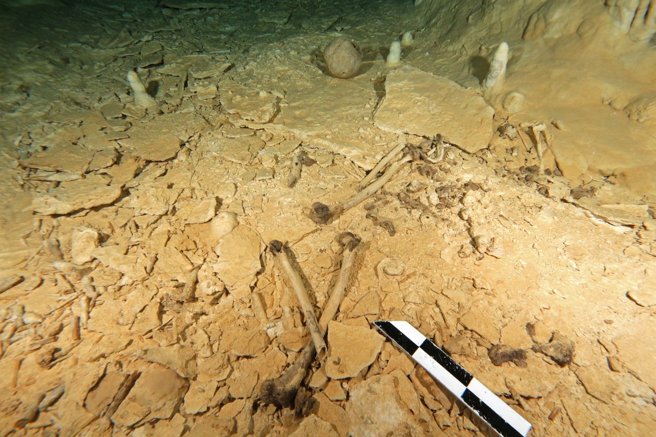 The woman's remains were found underwater in the Chan Hol cave, near the city of Tul&uacute;m on Mexico's Yucat&aacute;n Peninsula.