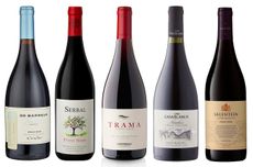 DWWA 2019 Argentina & Chile Pinot Noir