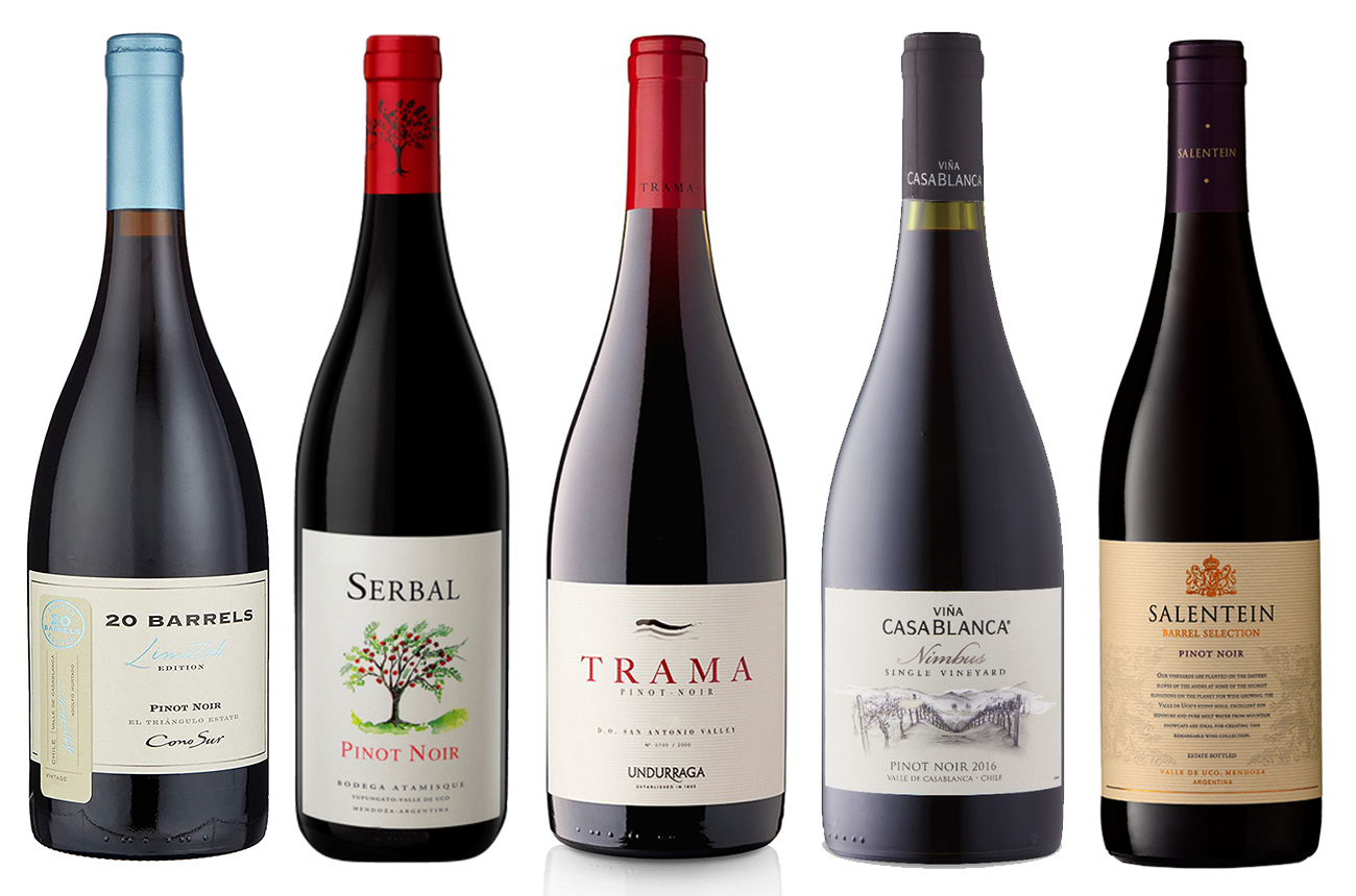 DWWA 2019 Argentina &amp; Chile Pinot Noir