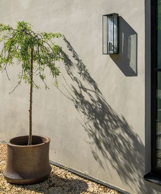 Patio wall with wall light and planter with tree