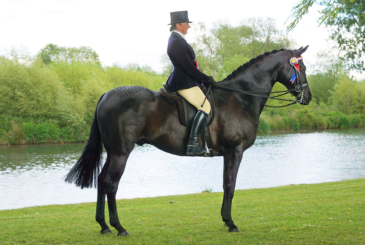 how to buy a show hack