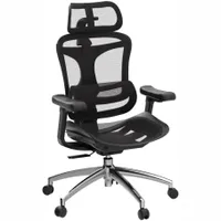 Sihoo Doro C300: $359 $239 at AmazonSave $120: