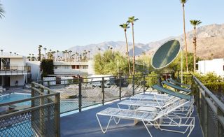 Ace Hotel Palm Springs swim club pool