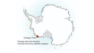 Map of Antarctica showing emperor penguin colonies. So far scientists have found 66 emperor penguin colonies on the coast of Antarctica; many of them are in remote regions and have been seen only in satellite photographs.