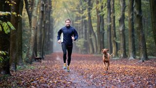 Keep your dog fit in 2021