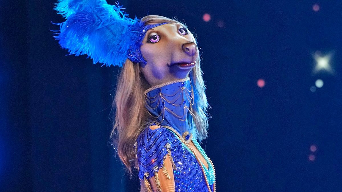 Afghan Hound In The Masked Singer