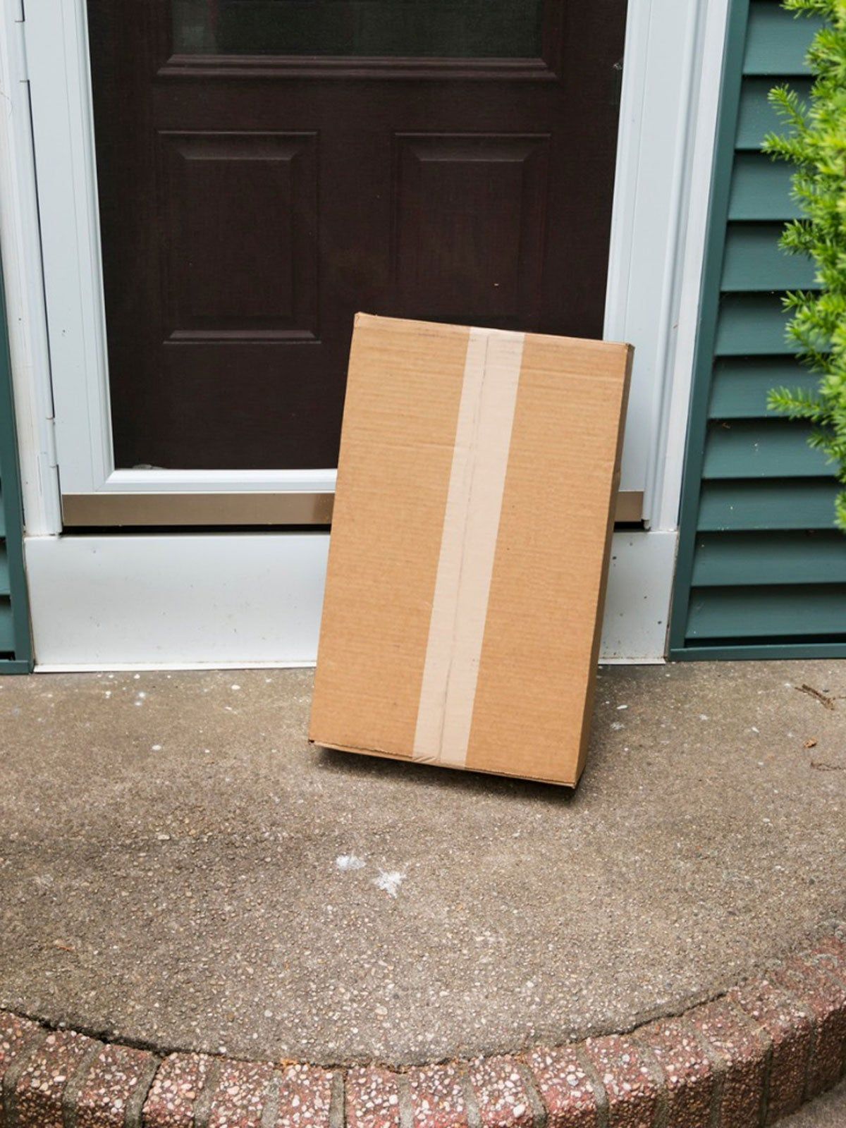 Ordering Plants Online Handling Garden Packages Safely During Covid