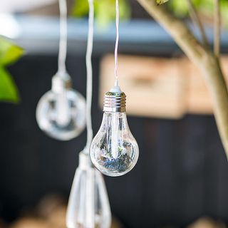 hanging bulbs in garden