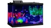GloFish Aquarium Kit Fish Tank