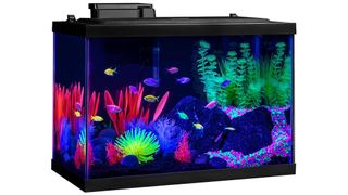 GloFish Aquarium Kit Fish Tank or turtle aquarium