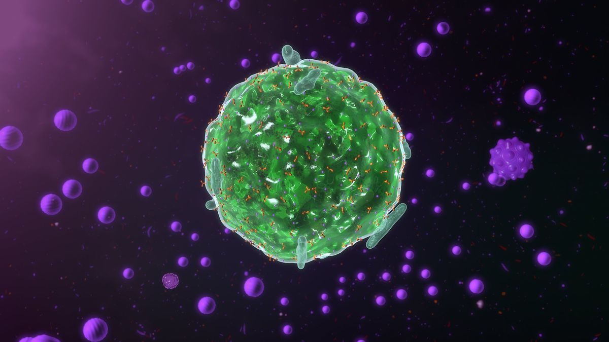 Artist&#039;s depiction of a mast cell secreting cytokines. 