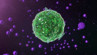 Artist's depiction of a mast cell secreting cytokines. 