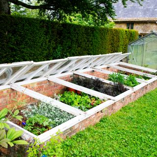 A garden with a cold frame and a greenhouse