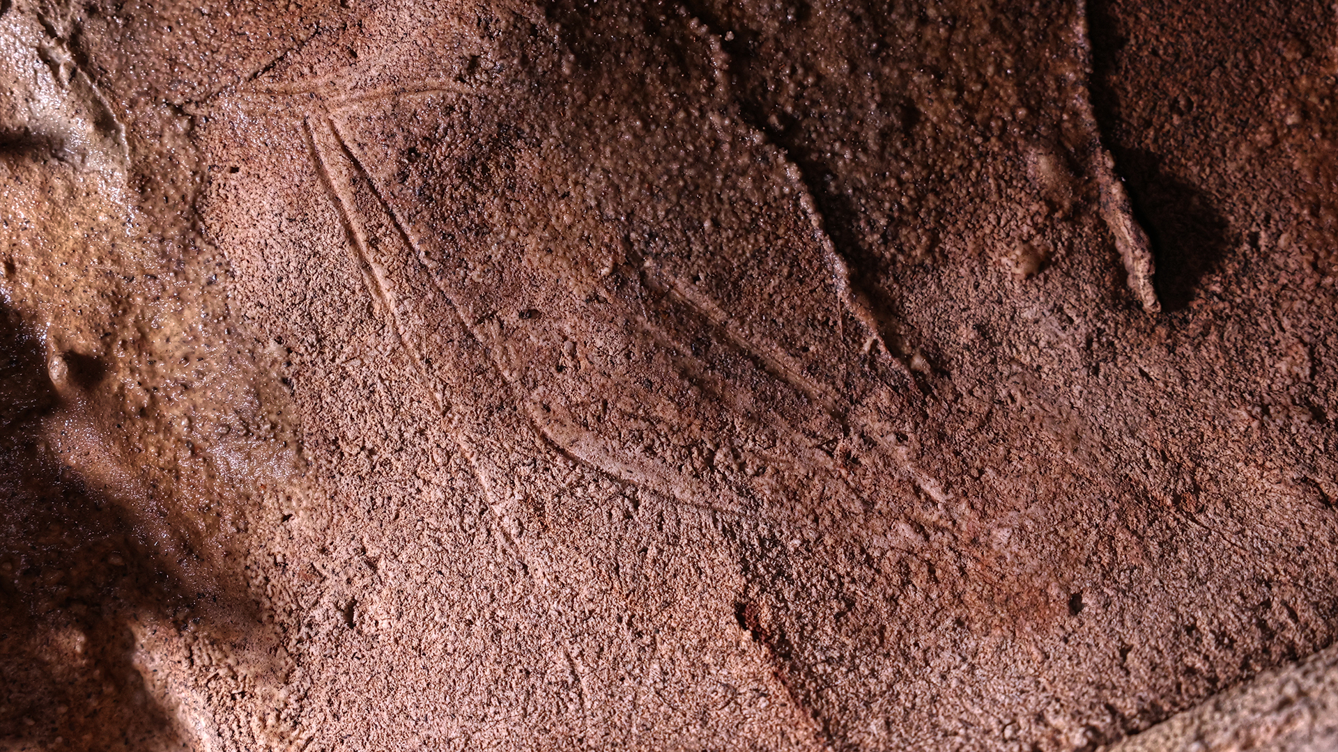 El ‘santuario de arte’ paleolítico en España contiene más de 110 pinturas rupestres prehistóricas.