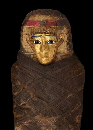 mummies exhibit