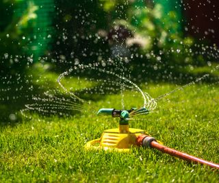 An oscillaating sprinkler on a lawn