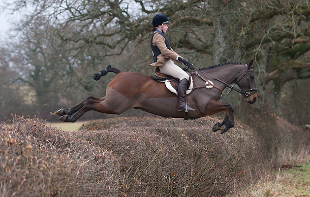 The Portman Hunt 5th January 2011