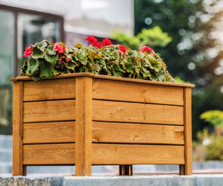 cedar raised garden bed filled with flowering plants